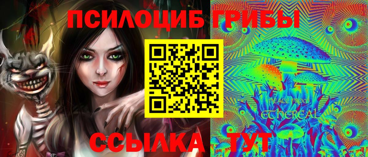 Псилоцибиновые грибы прущие грибы  Вход с VPN  Псилоцибиновые грибы прущие грибы  Шатура 