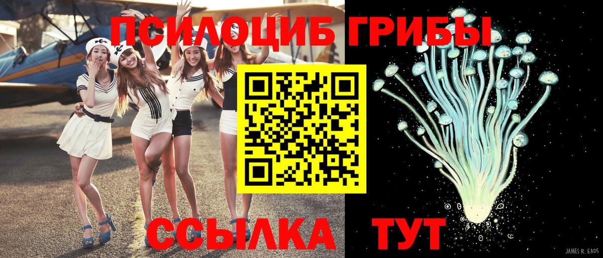 Галлюциногенные грибы Cubensis Шатура
